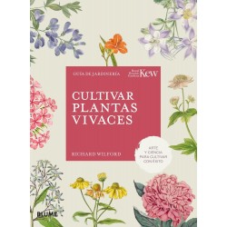Cultivar plantas vivaces