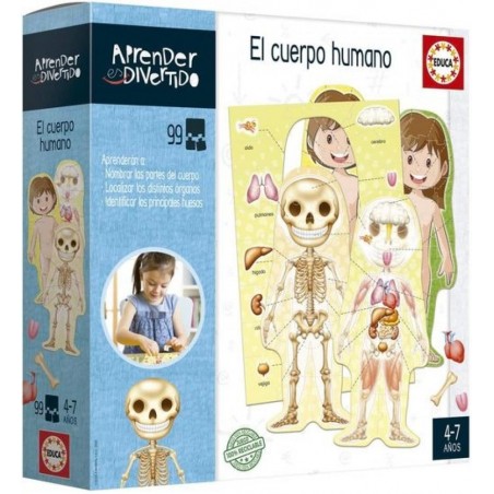 El cuerpo humano  Aprender es divertido