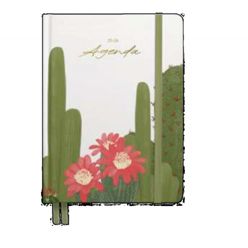 Agenda escolar hannai 25-26 cactus oasis SV Agenda escolar hannai 25-26 cactus oasis SV