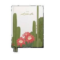 Agenda escolar hannai 25-26 cactus oasis DP
