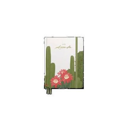 Agenda escolar hannai 25-26 cactus oasis DP