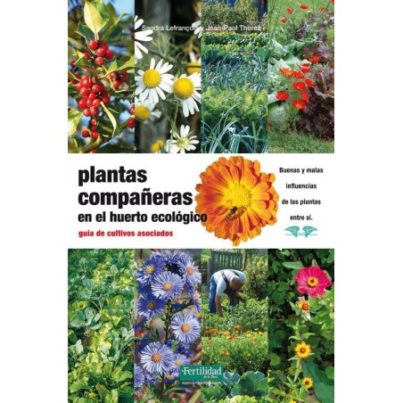 Plantas compañeras en el huerto ecológico