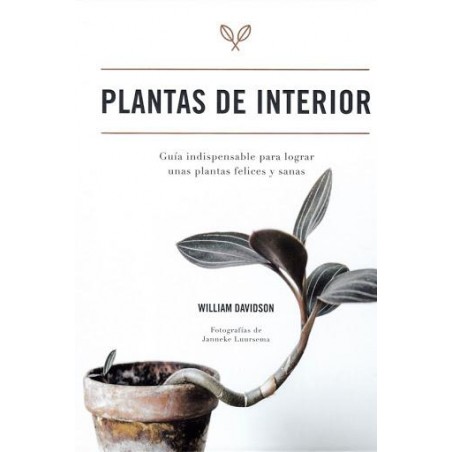 Plantas de interior