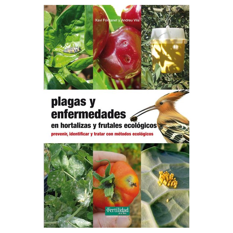 Plagas y enfermedades en hortalizas y frutales Plagas y enfermedades en hortalizas y frutales