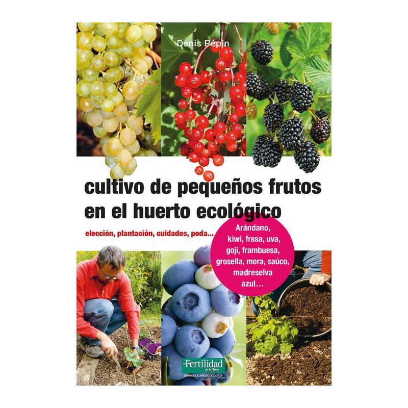 Cultivo de pequeños frutos en el huerto ecológico