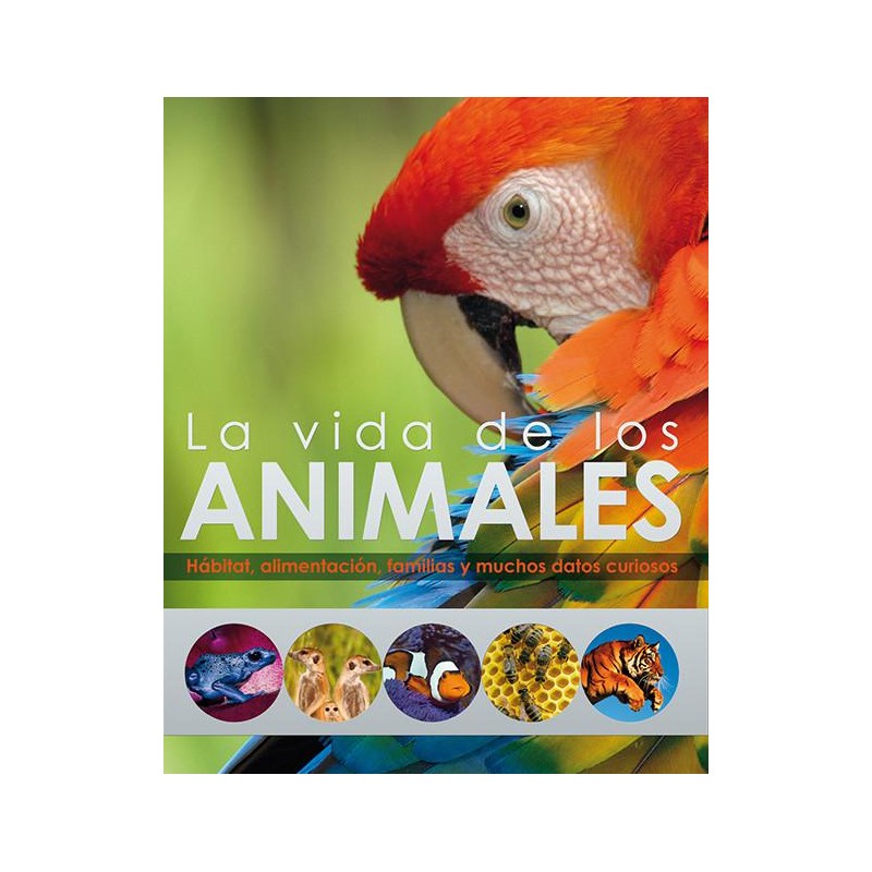 La vida de los animales La vida de los animales