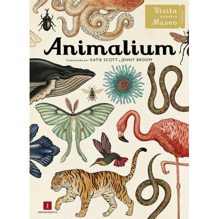 Animalium