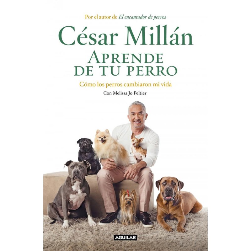 Aprende de tu perro Aprende de tu perro
