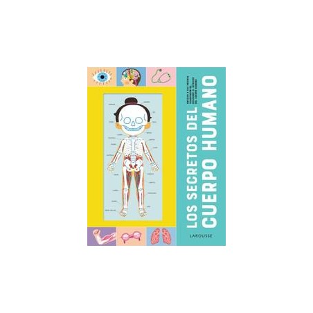 Los secretos del cuerpo humano