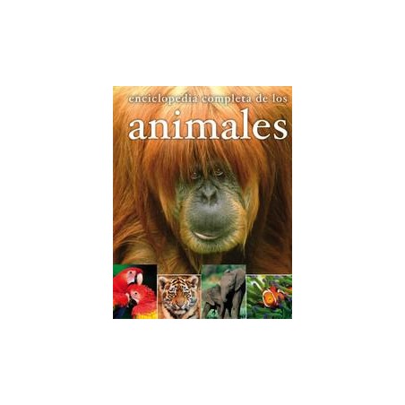 Enciclopedia que descubre las curiosidades  costum