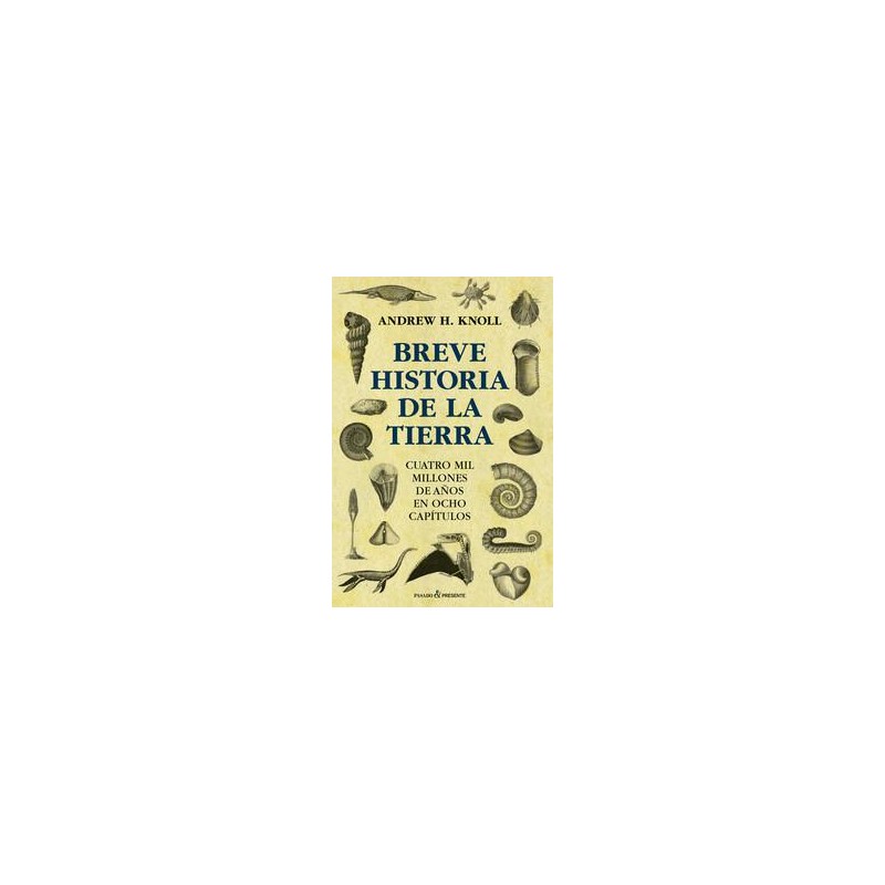 Breve historia de la tierra